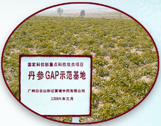白云山复方丹参片： 普药精制 疗效更佳