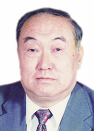 王灿晖主要成就