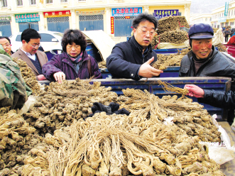 甘肃追堵熏硫中药材