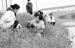 镇江：社区灭螺队春季忙查螺
