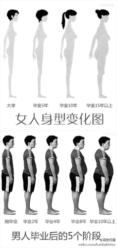 “过劳肥”成上班族通病 律师记者最易中招