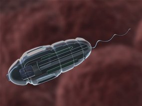科学家开发特殊碳纳米材料可制成人造肌肉