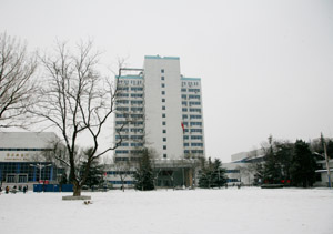 皑皑白雪 美丽校园