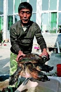 村民水库边逮到28斤重老鳖王