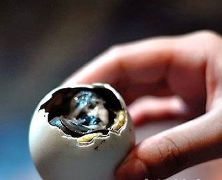 全球十大变态食物