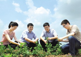 大学生村官牵头发展中药材
