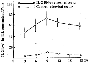 肝癌TIL细胞转导IL-2基因的生物学变化研究