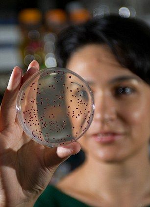 美科学家为大肠杆菌注入5亿岁远古基因