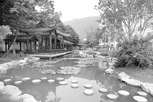 园林景观 温馨和谐