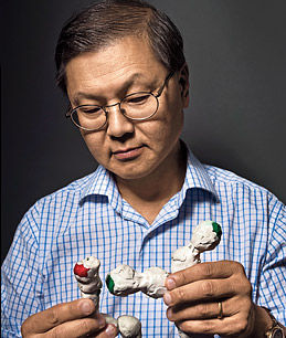 华裔抗艾科学家何大一：我感到成功的希望