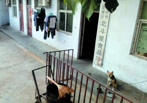 郑州29家问题面制品厂家被曝光后去向不明