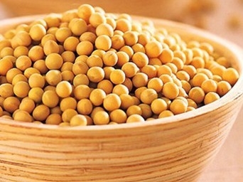 健康指南：用豆浆代替牛奶该注意哪些问题