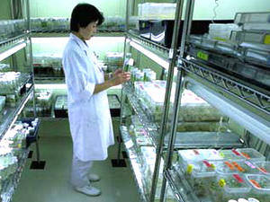 医药冷链建设的取舍
