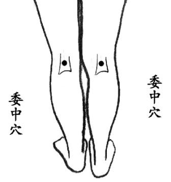 想长寿！常按身体这5个“窝”