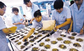 北京：药店狂销防流感漱饮