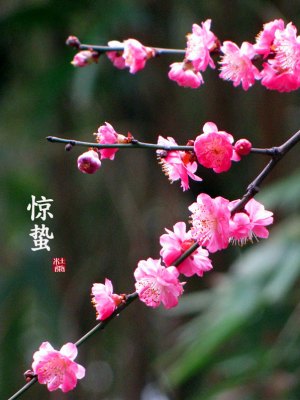 不同体质的人如何“惊蛰养生”