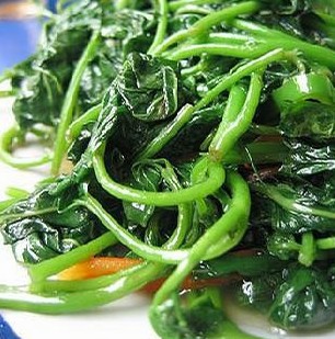 夏季养生：19种排毒功效最强的家常菜
