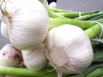 常食三辣保健：葱护血管生姜消肿大蒜杀菌