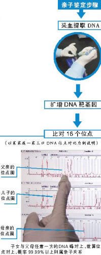 记者揭秘DNA亲子鉴定：70、80后是主力军