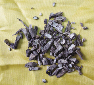 xian茅根有两副面孔