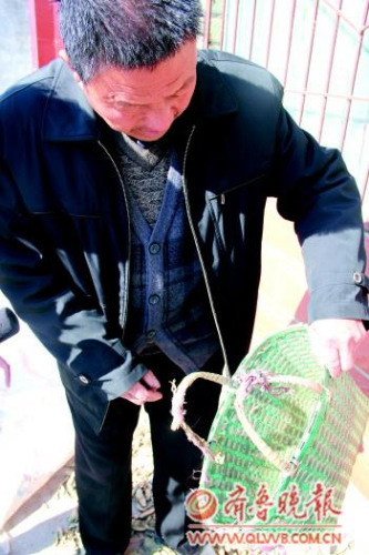 母子俩吃野菜后相继身亡 或因大量农药残留