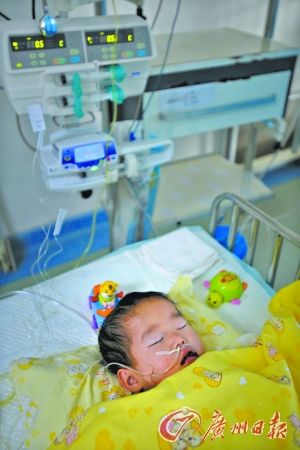 广东女童遭虐待急性肾衰续：其父被警方采取强制措施