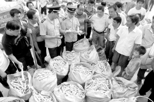 加强地产中药材监管