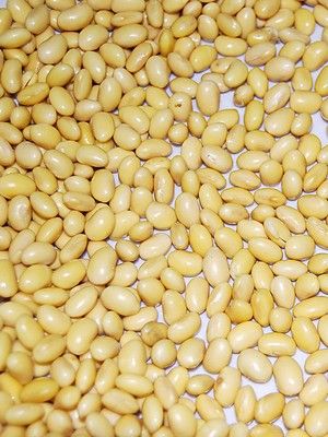 怎么吃肉能防癌？ 揭13种防癌食物组合