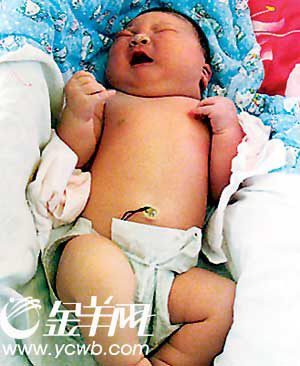 12.4斤“巨婴”