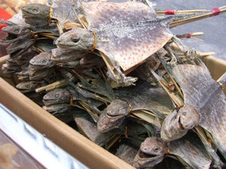 盘点：世界各地的“非主流”食物
