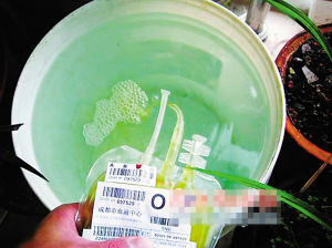 成都用人血浇花事件始末：浇花人称以为血浆报废