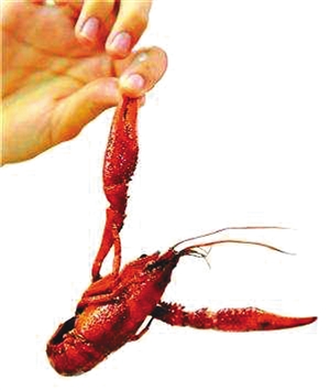 宁波小龙虾市场遇低迷 “洗虾粉”阴影挥之不去