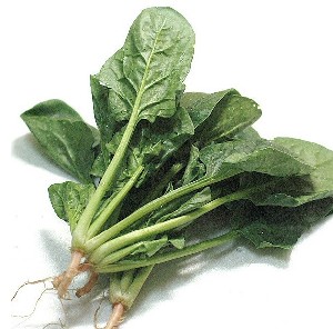 打造亮眼，多吃菠菜