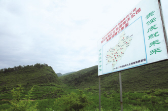 为中药正名