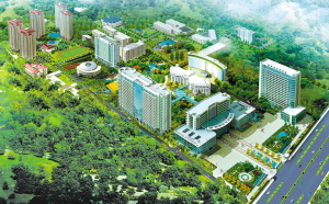 创新，让“龙头”崛起——成都军区总医院实现跨越式发展纪实