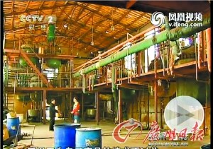 化工厂主任自研配方 流水线上偷制瘦肉精