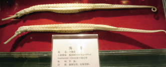 刁海龙胸鳍短背鳍长