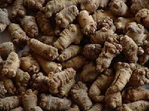 能返老还童的十味中药