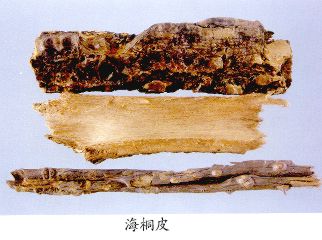 海桐皮（Haitongpi）Cortex Erythrinae