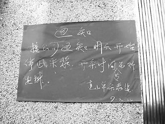 暗访广东佰易采血浆站：职业卖血者驻扎十年