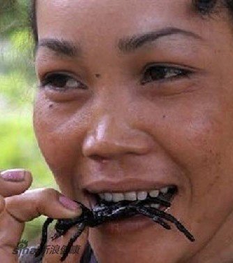 柬埔寨人爱吃黑色长毛毒蜘蛛