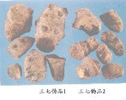 三七伪品（2）--水田七（Shuitianqi）