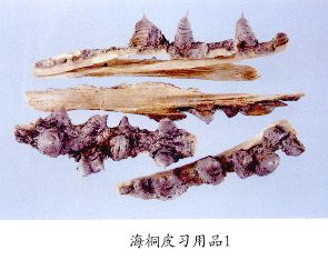 海桐皮习用品（1）--川桐皮（Chuantongpi）