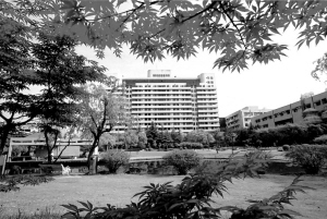 从“医者”到“健康使者”——上海市第六人民医院打造健康服务品牌之路侧记