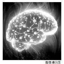 我科学家揭示癫痫发病新机制