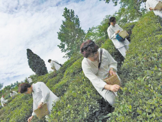 众联药业发起收心养生之旅