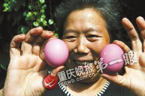老母鸡接连下20枚红蛋 专家称或为基因变异