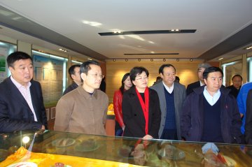 杨成旺厅长陪同国务院食品安全整顿督导检查组检查包头市食品整顿工作
