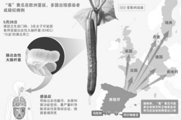 河南省：“毒黄瓜”引恐慌 我省已部署防控