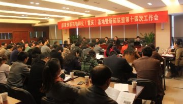 市科委组织召开国家创新药物孵化（重庆）基地暨新药联盟第十四次工作会